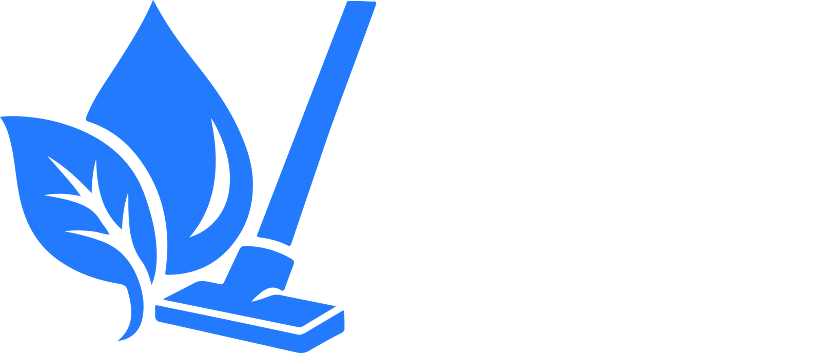 Expert Cleaners